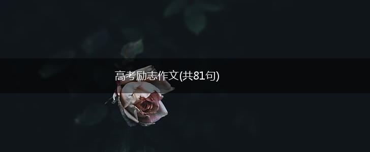 高考励志作文(共81句),第1张