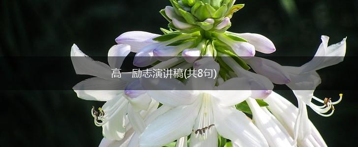 高一励志演讲稿(共8句),第1张