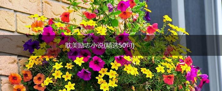 耽美励志小说(精选50句),第1张