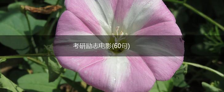 考研励志电影(60句),第1张 考研励志电影(60句),第1张