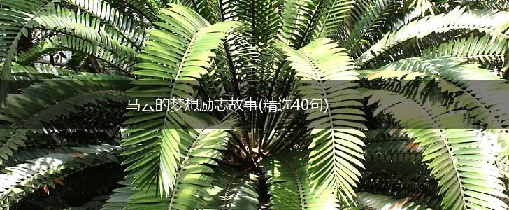 马云的梦想励志故事(精选40句),第1张