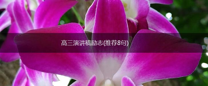 高三演讲稿励志(推荐8句),第1张