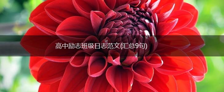 高中励志班级日志范文(汇总9句),第1张