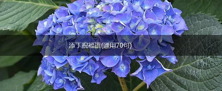 添丁祝福语(通用70句),第1张