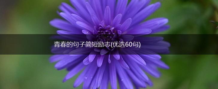 青春的句子简短励志(优选60句),第1张