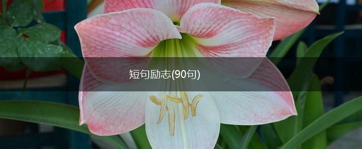 短句励志(90句),第1张