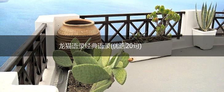龙猫语录经典语录(优选20句),第1张