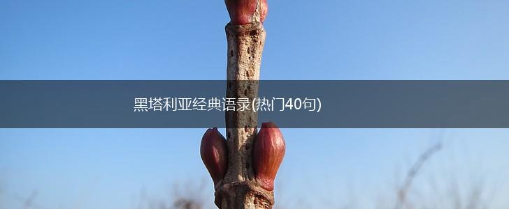 黑塔利亚经典语录(热门40句),第1张