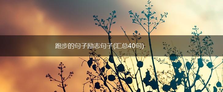 跑步的句子励志句子(汇总40句),第1张