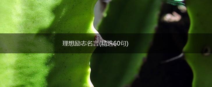 理想励志名言(精选60句),第1张 理想励志名言(精选60句),第1张