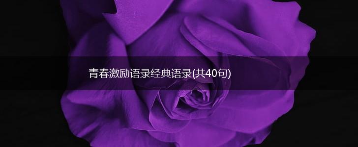 青春激励语录经典语录(共40句),第1张