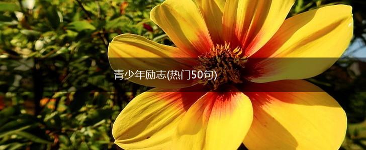 青少年励志(热门50句),第1张