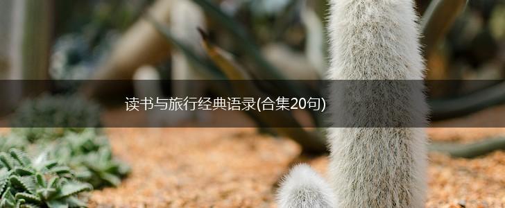 读书与旅行经典语录(合集20句),第1张
