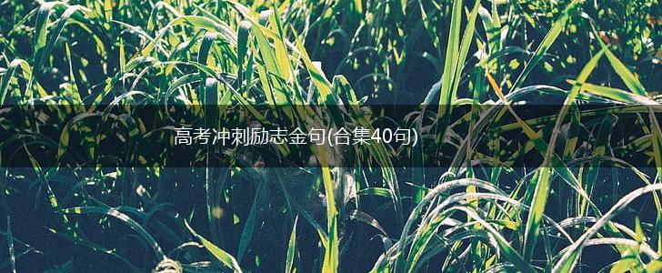 高考冲刺励志金句(合集40句),第1张