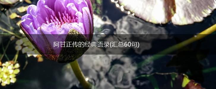 阿甘正传的经典语录(汇总60句),第1张