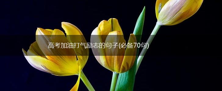 高考加油打气励志的句子(必备70句),第1张