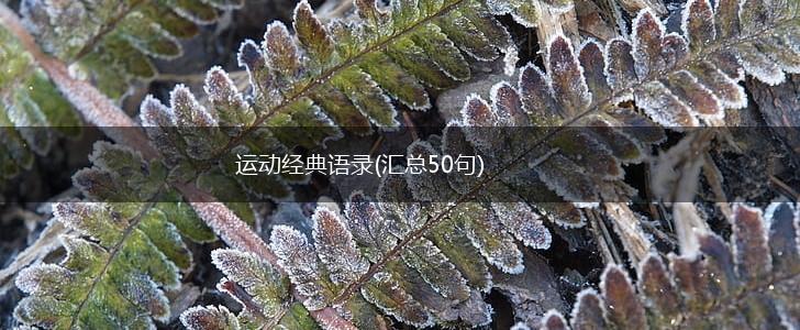 运动经典语录(汇总50句),第1张