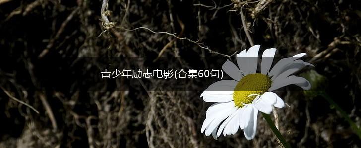 青少年励志电影(合集60句),第1张
