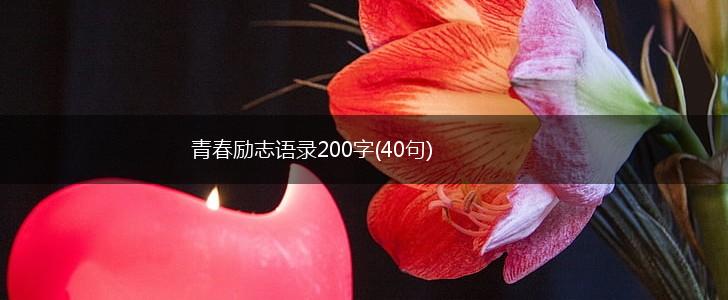 青春励志语录200字(40句),第1张