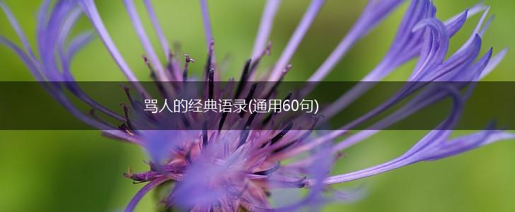 骂人的经典语录(通用60句),第1张