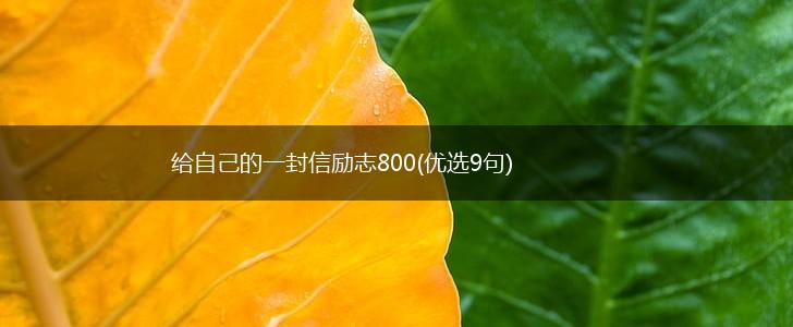 给自己的一封信励志800(优选9句),第1张 给自己的一封信励志800(优选9句),第1张