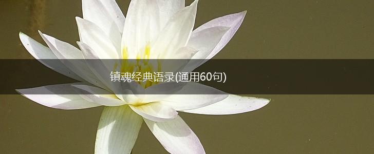 镇魂经典语录(通用60句),第1张