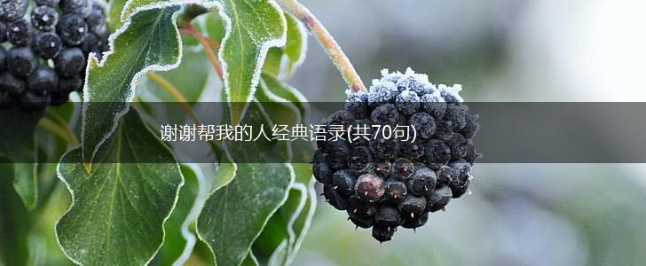 谢谢帮我的人经典语录(共70句),第1张