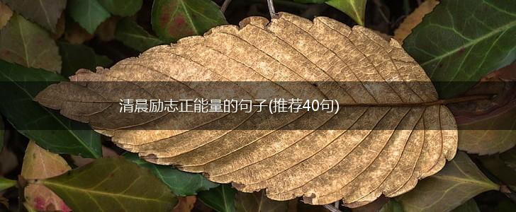 清晨励志正能量的句子(推荐40句),第1张 清晨励志正能量的句子(推荐40句),第1张