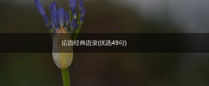 论语经典语录(优选49句),第1张