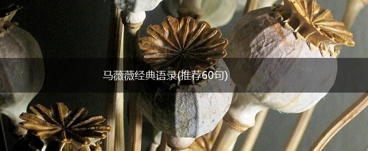 马薇薇经典语录(推荐60句),第1张
