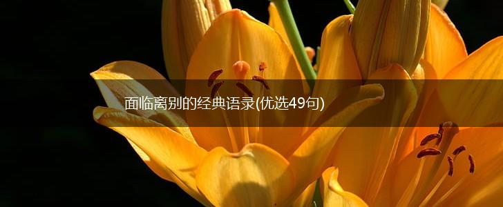 面临离别的经典语录(优选49句),第1张
