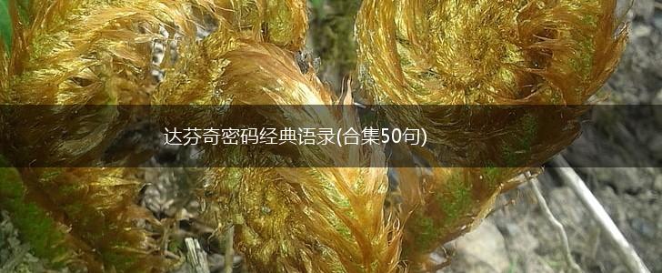 达芬奇密码经典语录(合集50句),第1张