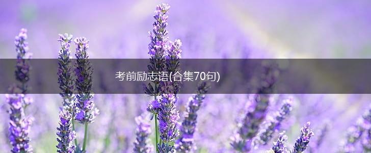 考前励志语(合集70句),第1张