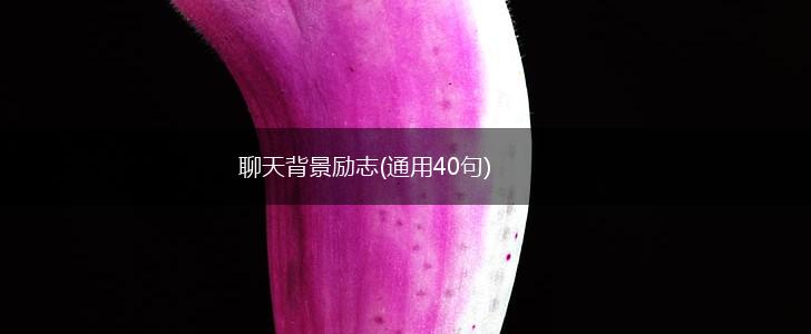 聊天背景励志(通用40句),第1张 聊天背景励志(通用40句),第1张