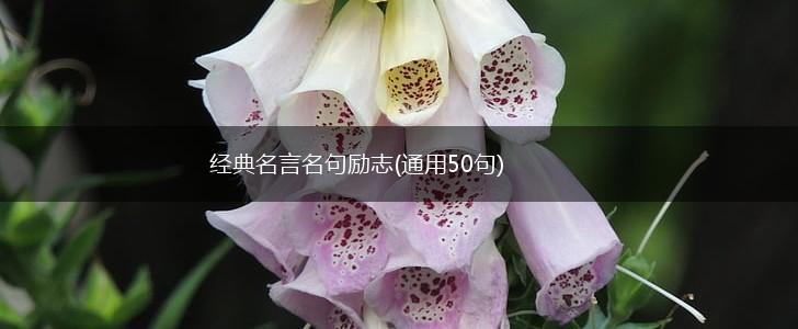经典名言名句励志(通用50句),第1张