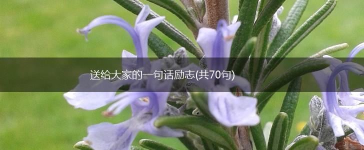送给大家的一句话励志(共70句),第1张