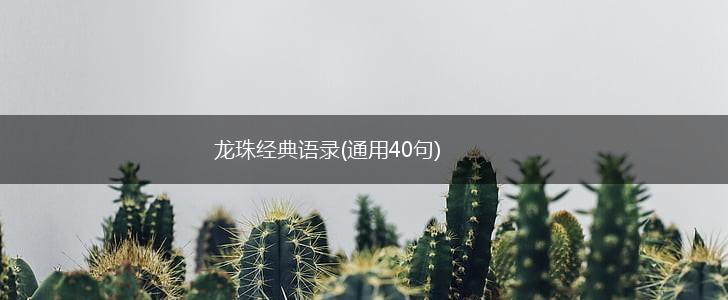 龙珠经典语录(通用40句),第1张