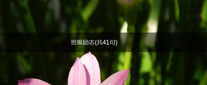 班级励志(共41句),第1张