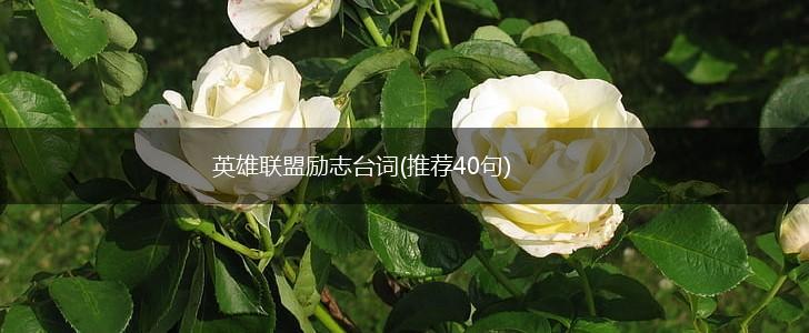 英雄联盟励志台词(推荐40句),第1张