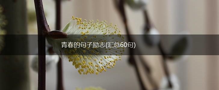 青春的句子励志(汇总60句),第1张