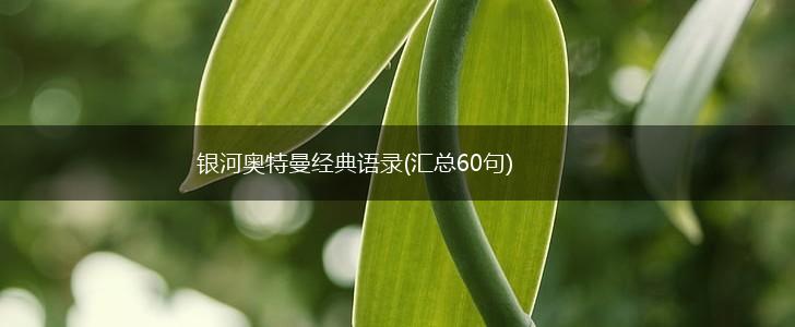 银河奥特曼经典语录(汇总60句),第1张