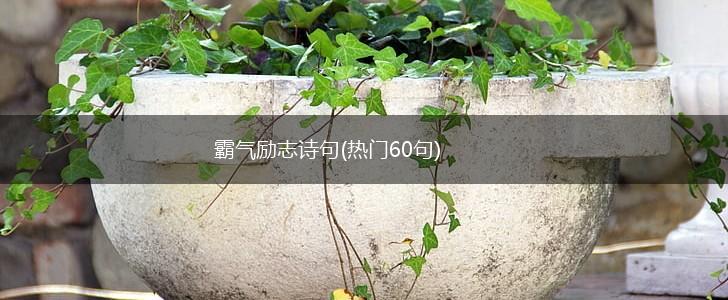 霸气励志诗句(热门60句),第1张