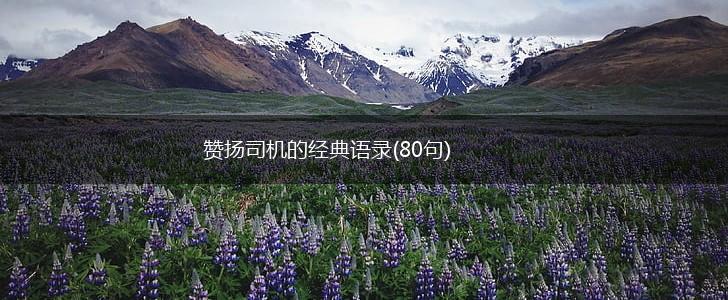 赞扬司机的经典语录(80句),第1张