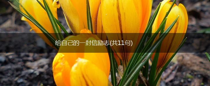 给自己的一封信励志(共11句),第1张 给自己的一封信励志(共11句),第1张