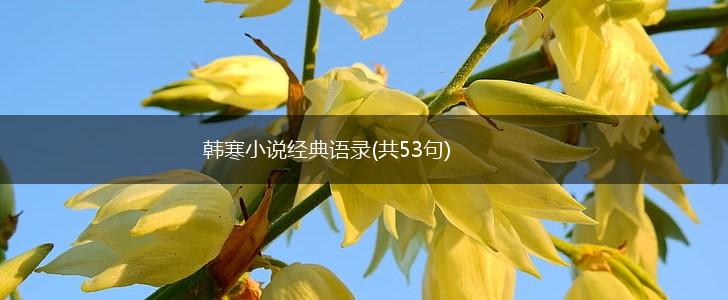 韩寒小说经典语录(共53句),第1张