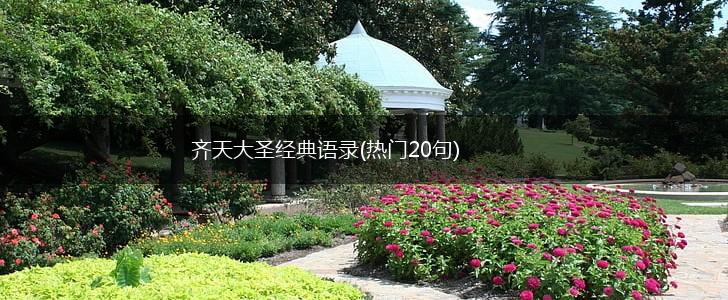 齐天大圣经典语录(热门20句),第1张