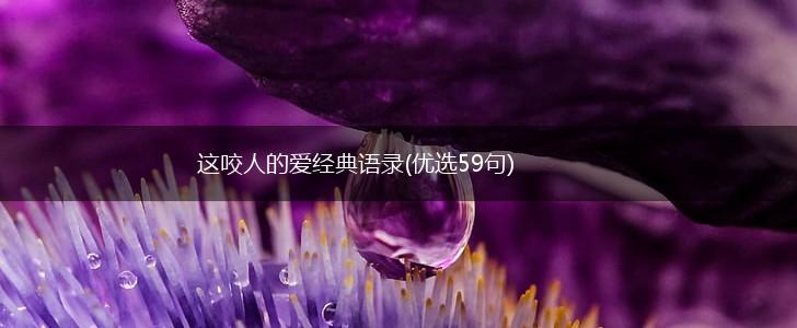 这咬人的爱经典语录(优选59句),第1张