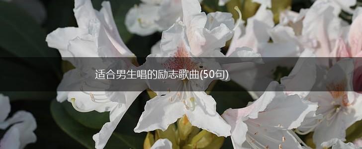适合男生唱的励志歌曲(50句),第1张