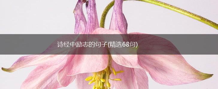 诗经中励志的句子(精选68句),第1张