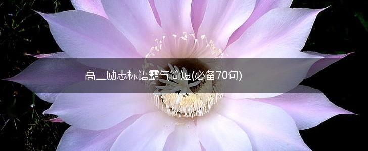 高三励志标语霸气简短(必备70句),第1张